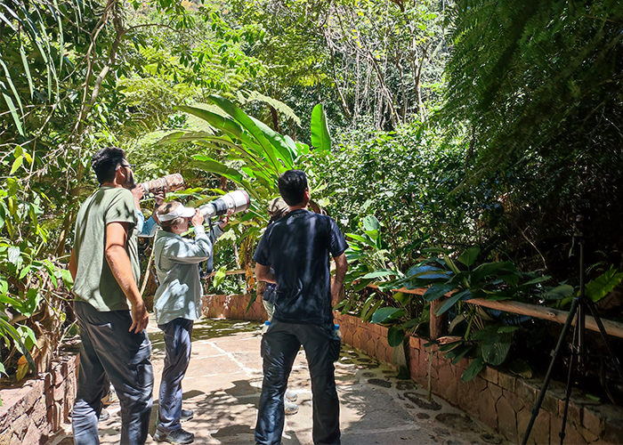 Grupo de observadores com câmeras tirando foto.