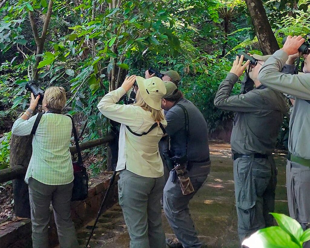 Grupo de exploradores olhando para o alto com binóculos em meio a uma trilha com plantas.
