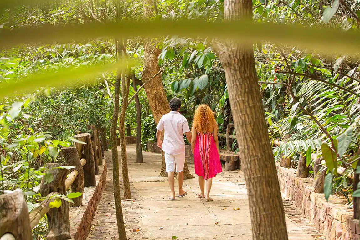 Atrações do Arajara Park